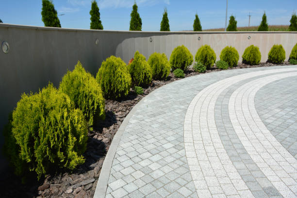 Best Interlocking Driveway Pavers  in Lake Ozark, MO